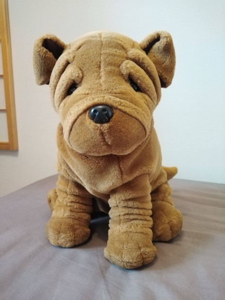 Shar Pei plss kutya