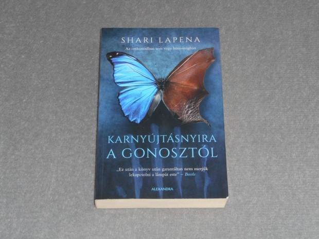 Shari Lapena - Karnyjtsnyira a gonosztl