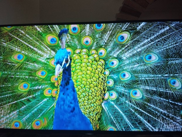 Sharp 55" 140cm okos tv