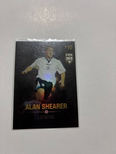 Shearer Legend focis krtya