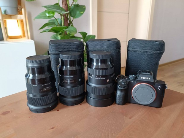 Sigma 14-24mm f/2.8 DG DN Art (Sony E)