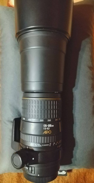 Sigma 170-500mm f/5-6.3 DG APO