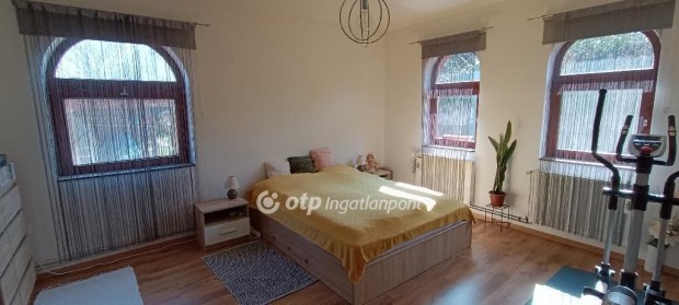 Siklsi elad 195 nm-es hz