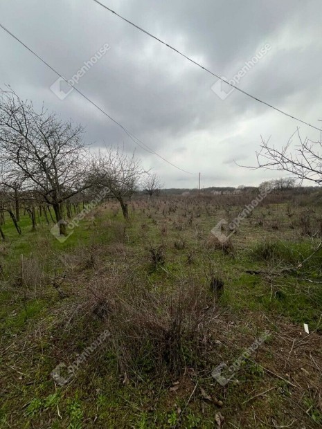 Simontornya elad� z�rtkert