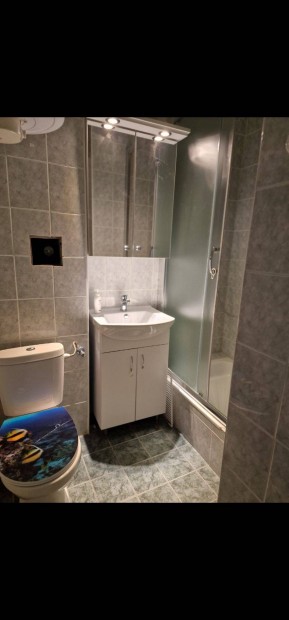 Sifok Aranyparton apartman elad