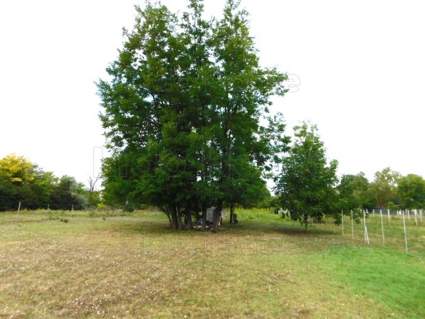 Si�fok-S�st�n k�zm�ves �p�t�si telek 500 m�terre a Balatont�l elad�