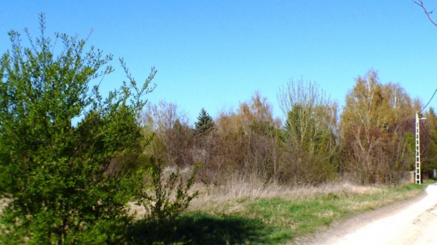 Si�fok, B�k�sd�l� d�l�, 5574 m2-es, telek