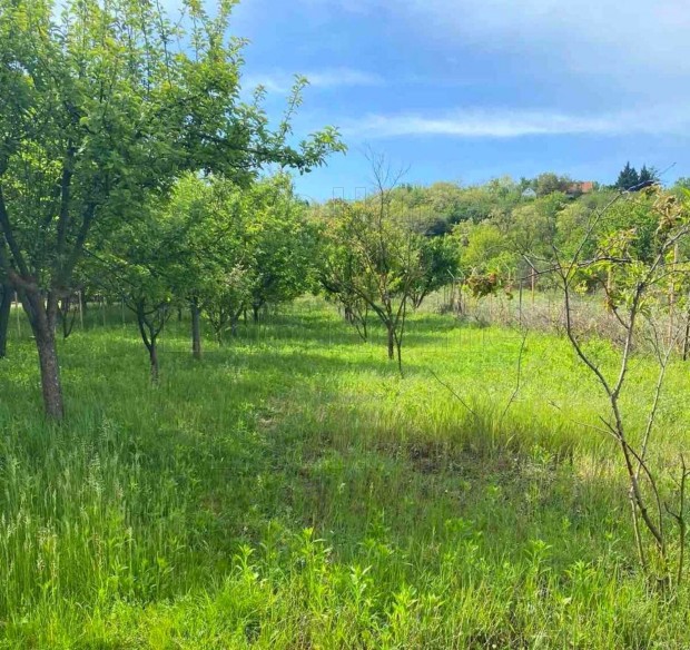 Si�fok, Kilitisz�l�hegyen z�rtkerti ingatlan elad�!