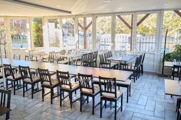 Si�foki elad� 600 nm-es h�z