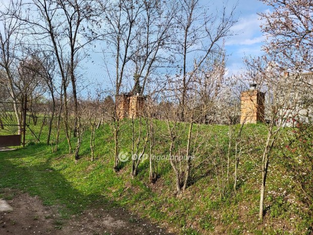 Si�foki elad� 66 nm-es h�z