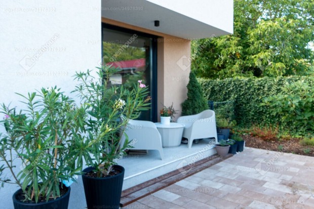 Si�foki elad� 74 nm-es h�z