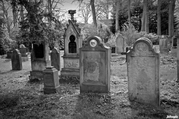 S�rk�ves m�hely keres koll�g�t