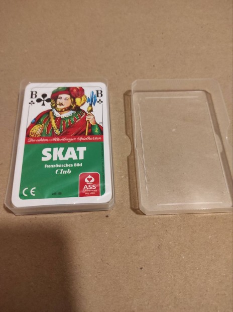 Skat krtya 