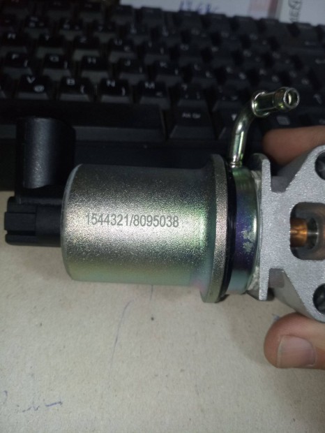 Skoda Fbia, Volkswagen Golf 4. EGR szelep