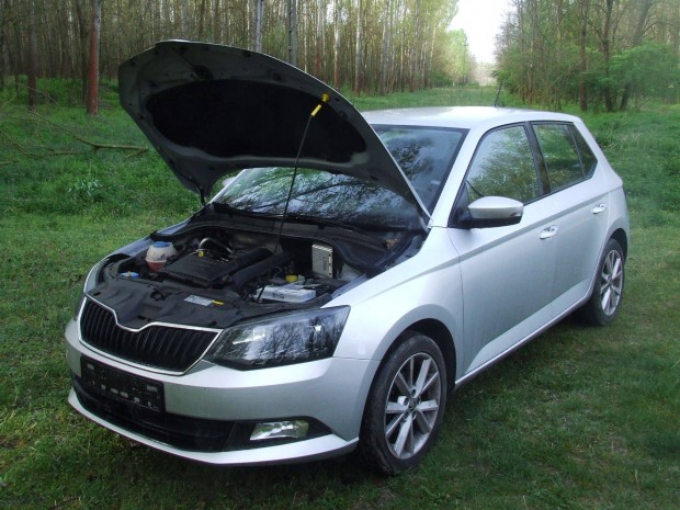 Skoda fbia 1.2 Tsi