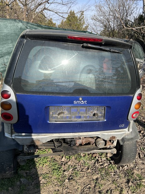 Smart gy�ri h�ts� ajt�k