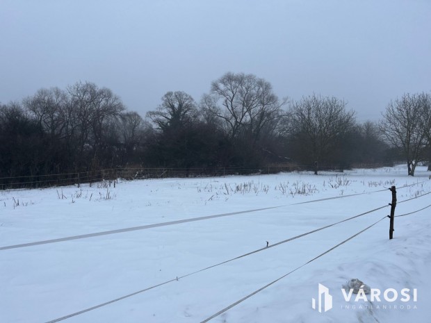 Sokoldal� telek Budakal�szon