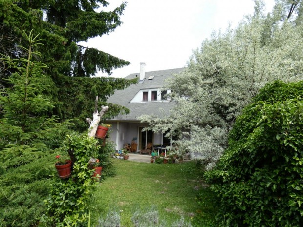 Solym�r, Hutweide, 361 m2-es, 2 gener�ci�s, csal�di h�z, 9 szob�s