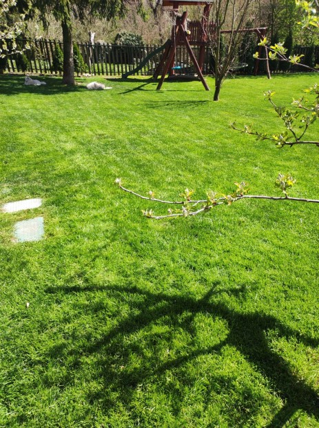 Solym�r k�zpontj�ban tal�lhat� csal�di h�z