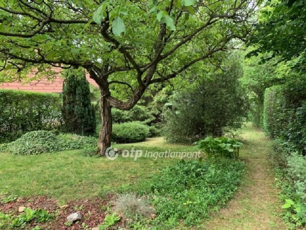 Solym�ri 40 nm-es h�z elad�