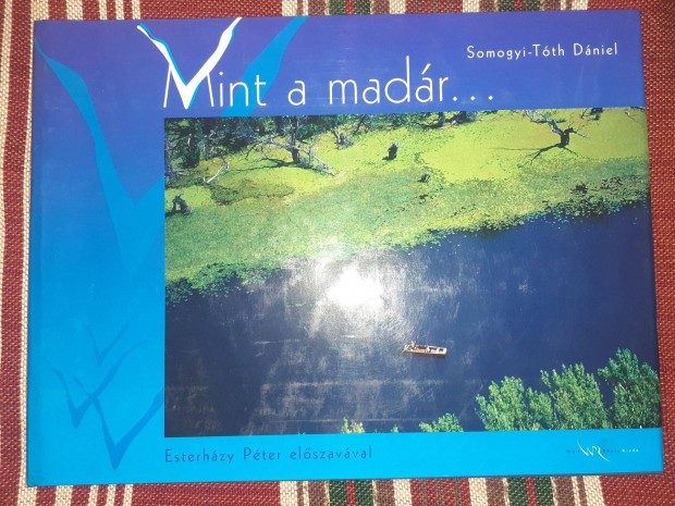 Somogyi-Tth Dniel: Mint a madr