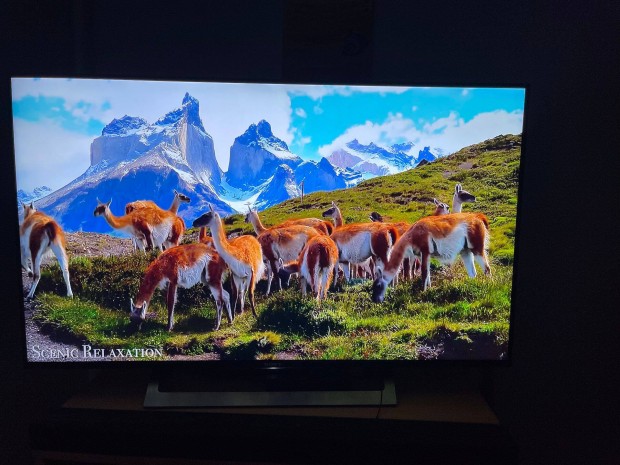 Sony 49XD8305 UHD SMART 100 HZ TV Elad