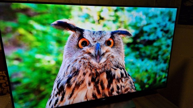 Sony 55 Android 4k smart Tv