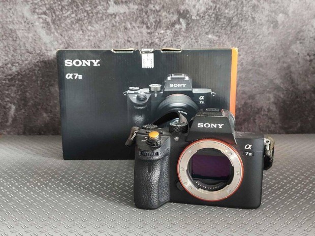 Sony A7 III MILC 24 mpixel 18xxx expo