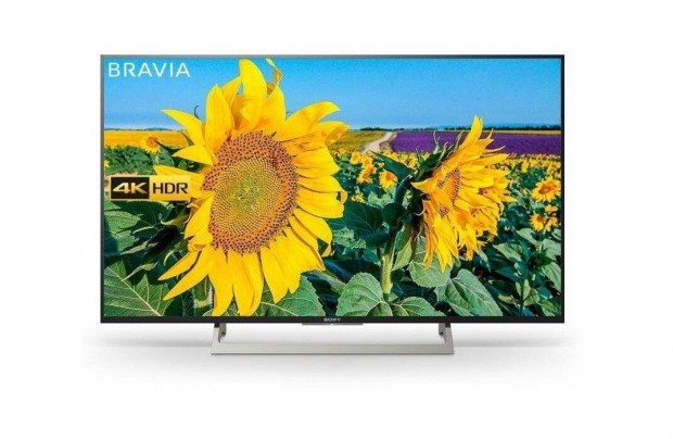 Sony Bravia KD-55XF8096, 139cm, UHD, Smart, Wifi, HDR, pixel cskos