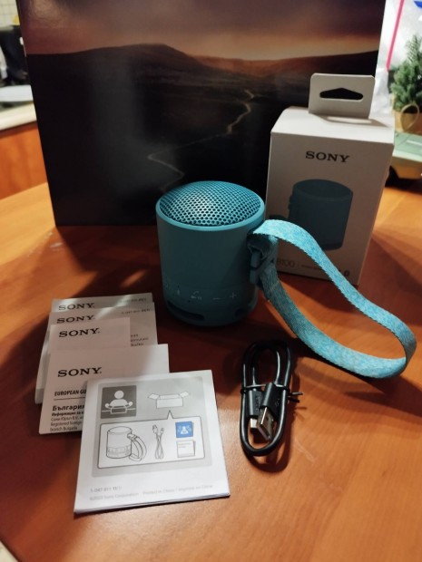 Sony SRS-XB100