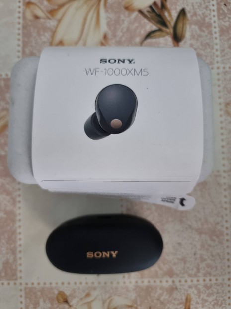 Sony WF-1000XM5