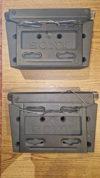 Sony hangszr pr (falra szerelhet)