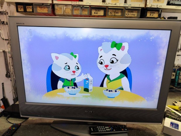 Sony nagyméretü LCD TV