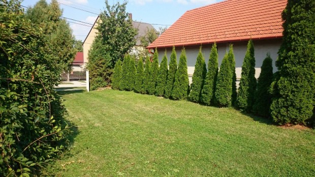 S�r�den 80 m2-es apartmanlak�s 2026. m�rcius 1-t�l kiad�