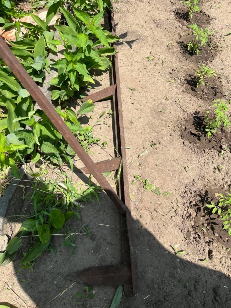 Sorh�z� sz�gvas