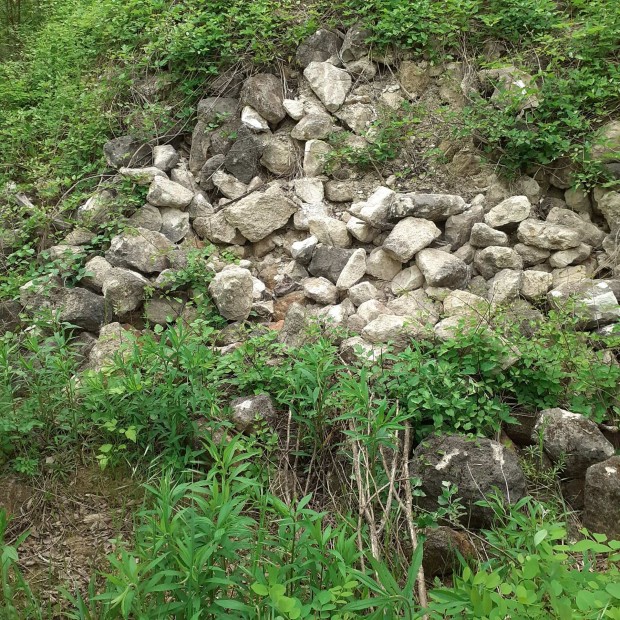 Sskuti termsk