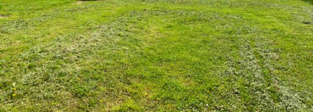 S�st�i telek elad�!