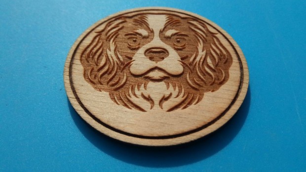 Spaniel htmgnes