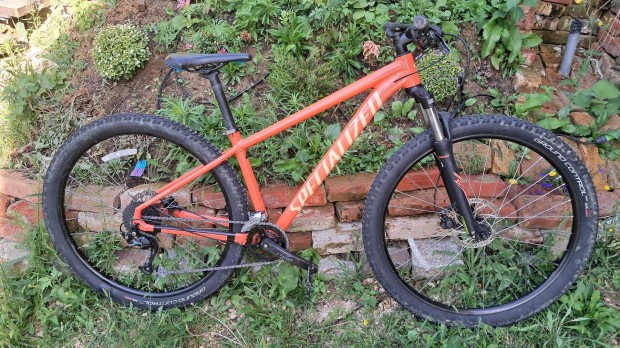 Specialized Rockhopper 2022 M 29