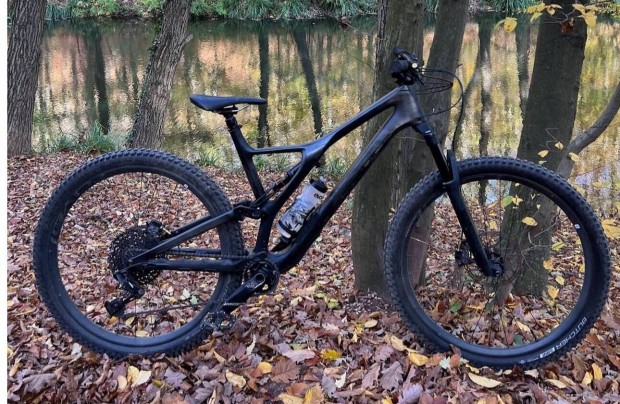 Specialized Stumpjumper ST Expert 29 Carbon Fiber