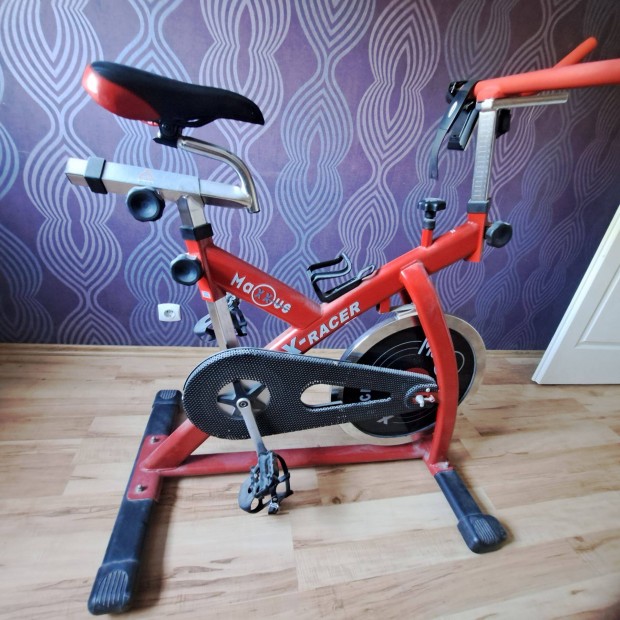 Spinning bicaj
