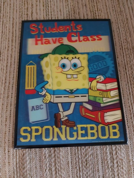 Spongebob/ Spongyabob falikp 