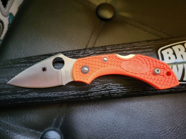 Spyderco Dragonfly 2 bicska , ks