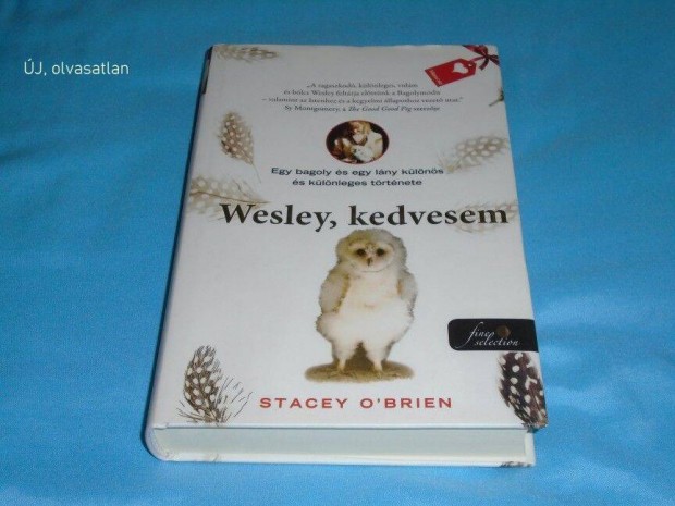Stacey O'brien : Wesley, kedvesem (j, olvasatlan)