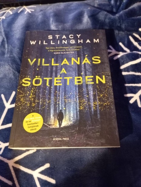 Stacy Willingham: Villans a sttben