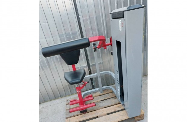 Stairmaster hasprsgp 100 kg lapsllyal szerelve