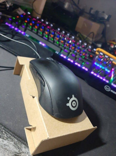 Steelseries Rival 100 Gamer egr