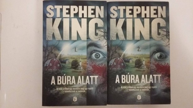 Stephen King: A bra alatt