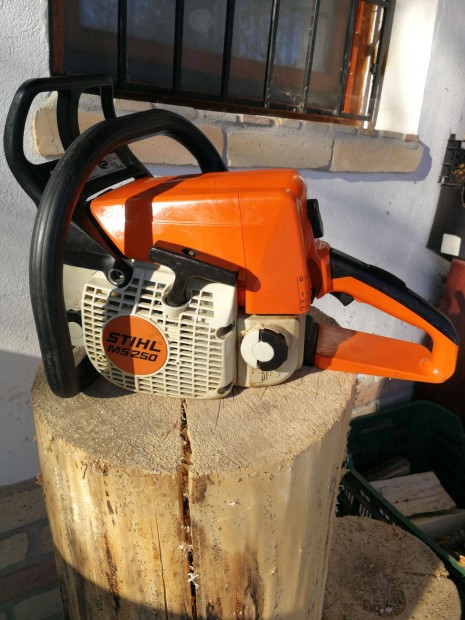 Stihl Ms 250