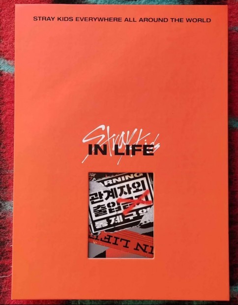 Stray Kids In Life K-pop